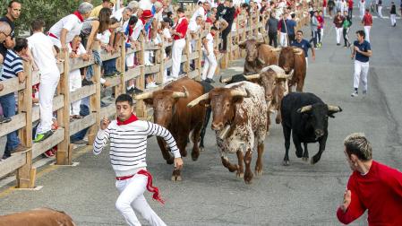 Primer encierro y vaquillas en Sangüesa.