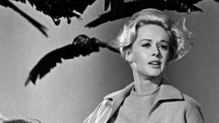 Fotograma de la película Los pájaros (1963)