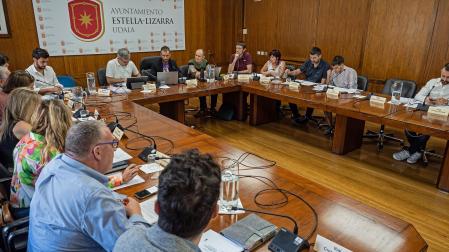 Un momento del último pleno celebrado en Estella en el que salieron adelante 23 nuevas partidas que, en total, suman 2,4 millones