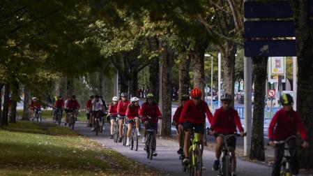 Los escolares también accedieron a través de la Vuelta del Castillo