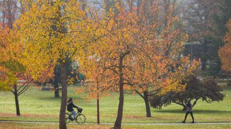 Imagen del campus de la Universidad de Navarra