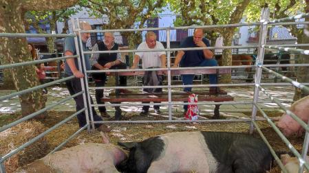 Cuatro personas conversan ante el acotado reservado a porcinos en la feria.