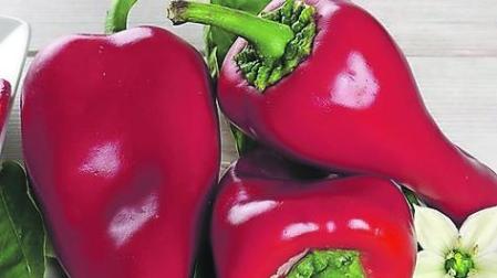 Pimiento piquillo