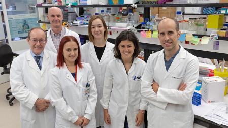 Luis Montuenga, Alfonso Calvo, Miriam Redrado, Esther Redín, Karmele Valencia y Diego Serrano, del Programa de Tumores Sólidos del Cima Universidad de Navarra