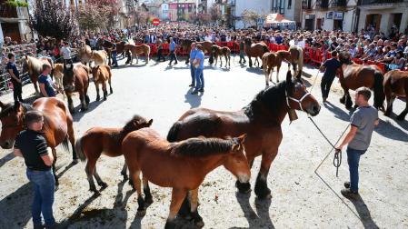 Los jueces eligen a los ganadores de la categoría 'Yegua con potro'