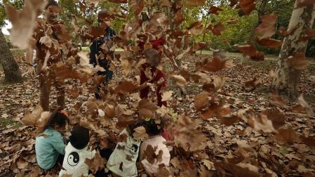 Un grupo de padres juegan con sus hijos lanzándoles las hojas secas caídas de los arboles en un parque de Pamplona