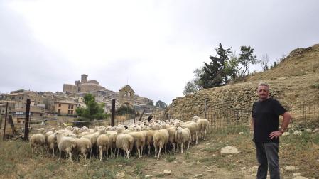 Roberto Ibáñez Clavería, con algunas de sus ovejas en el corral junto al pueblo que enmarca la imagen, Ujué.