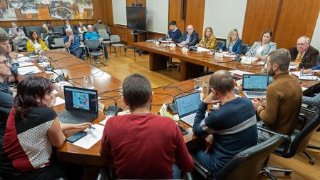 Un momento de la sesión plenaria celebrada este jueves por la tarde en el Ayuntamiento de Estella