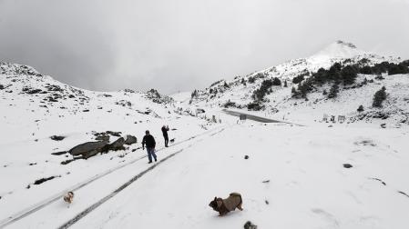 La nieve cubre ya en el primer temporal las carreteras y los montes del pirineo navarro donde ha sido necesaria la presencia de los quitanieves para despejar la nieve acumulada en la zona.