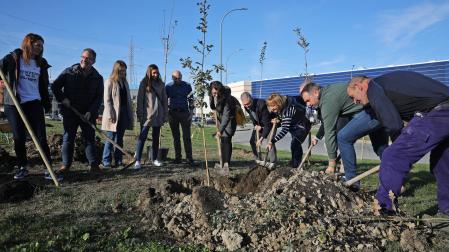 Un momento de la plantación a cargo del Consistorio de Galar y de empresas del área comercial