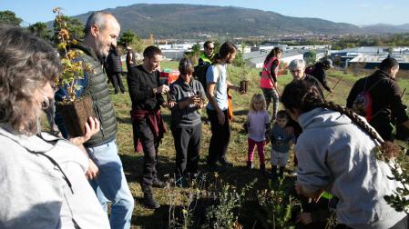68 personas voluntarias, acompañadas por alumnado del ciclo de Educación y Calidad Ambiental del CI Agroforestal, técnicas municipales y alumnado de la escuela taller de Jardinería, plantarán ejemplares pequeños de arces, nogales, pinos, serbales, encinas y robles, además de arbustos