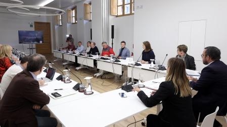 Imagen de la sesión de la Comisión, reunida en el Palacio de Navarra