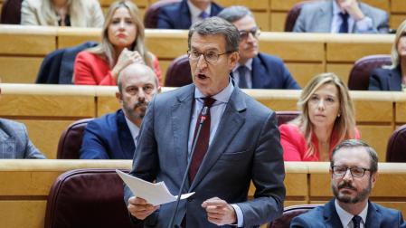 El líder del Partido Popular, Alberto Núñez Feijóo, en el Senado