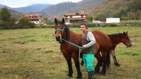 Luis Mariñelarena explora a una yegua en un prado de Lantz.
