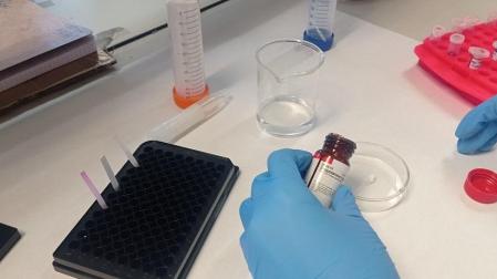 Crean un nuevo test que detecta burundanga y droga caníbal en muestras de saliva y bebidas de forma rápida y sencilla