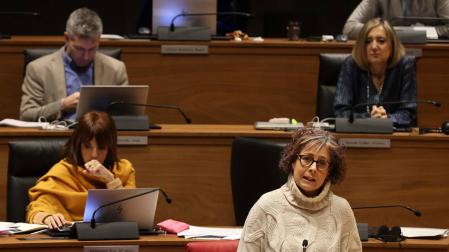 Rebeca Esnaola, durante su comparecencia en el Parlamento