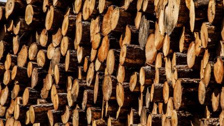 Imagen de archivo de una explotación forestal