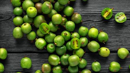 El kiwi enano, también llamado kiwi baby, minikiwi y kiwiño, pertenece a la especie Actinidia arguta
