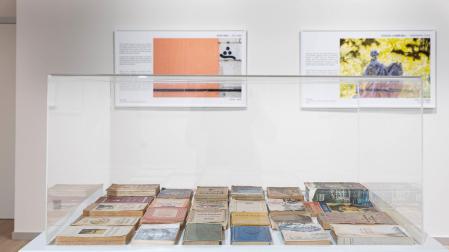 En primer término las primeras ediciones de sus libros y, al fondo, dos de las postales.