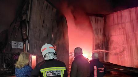 La alcaldesa de Marbella, junto al lugar del incendio