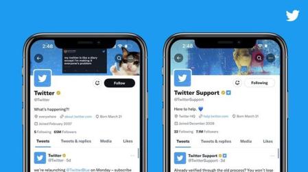 Captura del nuevo sistema de verificación para empresas de Twitter