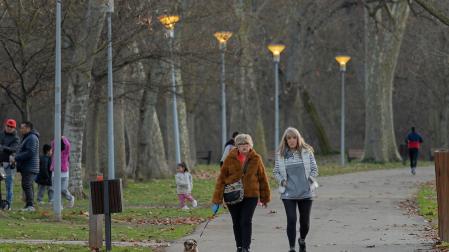 Personas paseando entre los árboles del parque de Los Llanos.
