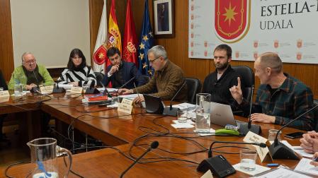 Ana Duarte y Gonzalo Fuentes (izquierda) miran a Regino Etxabe (derecha) en el debate de las ayudas