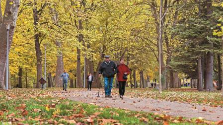 Paseantes en el parque de los Llanos próxima a los columpios junto a los cines que ampliaría su espacio