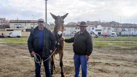 Óscar Carrato (izda.), y Pedro Fabo con Pelegrina este jueves en Tafalla en un recinto ferial vacío