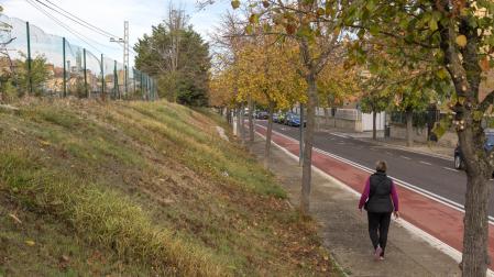 A: BLANCA ALDANONDO
F: 16/11/2022
P:
L: TUDELA
T: TALUD DE LAS VIAS DEL TREN EL LA ENTRADA AL BARRIO DE LA AZUCARERA, PASEO DE LOS TILOS