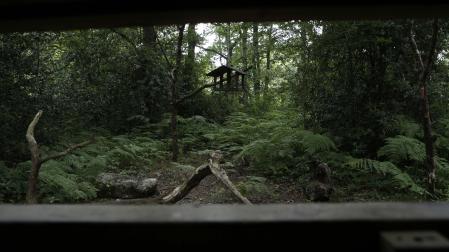Un parapeto de observación en el bosque de Orgi