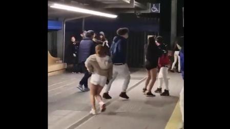 16 detenidos, dos de ellos heridos, por una reyerta en el Metro de Madrid
