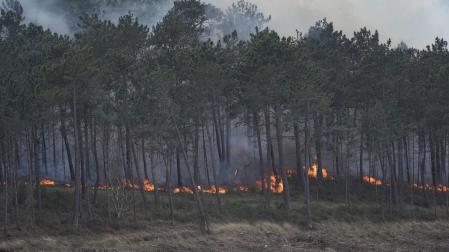 Llamas del incendio registrado este viernes en Luarca