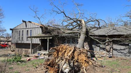 Un árbol arrancado de cuajo ha caído sobre el tejado de una vivienda en Arkansas