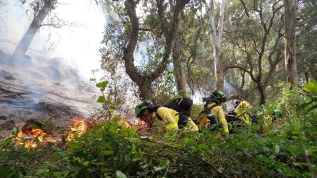Efectivos del Infoca luchan contra el fuego en Tarifa