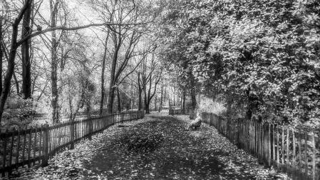 Holand Park, en Londres, fotografiado en 1979.