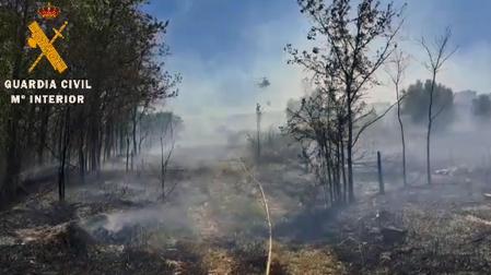 Incendio registrado este lunes en Corella