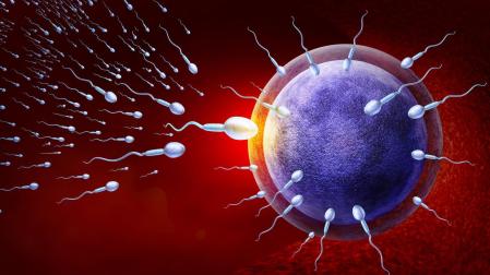 Las causas de la infertilidad son múltiples, y entre ellas se cuentan la edad; factores ambientales como el estrés, la contaminación, el consumo sustancias tóxicas o la depresión; o las infecciones de transmisión sexual