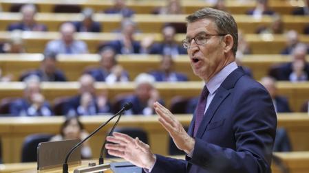 Alberto Núñez Feijóo, este miércoles en el Senado