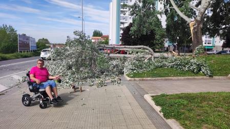 Jesús, en el lugar donde ha visto la caída de la rama del álamo, que ha ocupado toda la acera