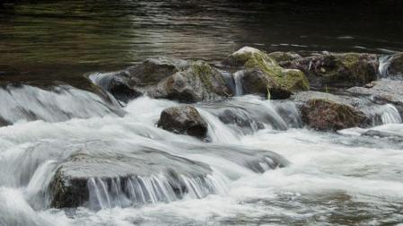 Hoy se ha organizado un paseo geológico por el paseo fluvial del Arga.