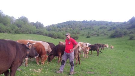 El ganadero de Orbaizeta, David Sanzberro, con sus vacas