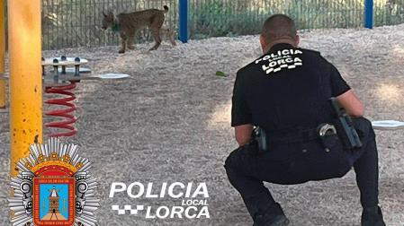 Un policía local de Lorca, junto al lince