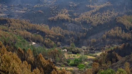Terreno calcinado por el incendio forestal en Las Hurdes, a 21 de mayo, en Cáceres, Extremadura