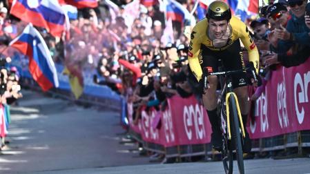 El esloveno Primoz Roglic se ha impuesto en la vigésima etapa del Giro de Italia disputada en la modalidad de contrarreloj
