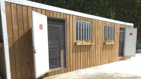 El nuevo espacio para gatos del Centro de Atención a Animales del Ayuntamiento de Pamplona
