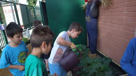La actividad se refuerza con un encuentro que cada año organiza el Museo de Educación Ambiental