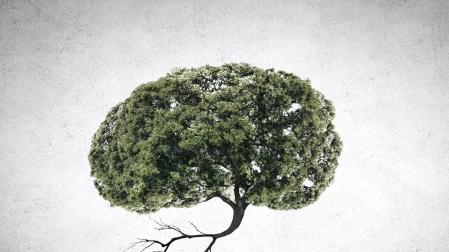 A pesar de los increíbles avances de la ciencia, todavía no hemos podido trasplantar el cerebro