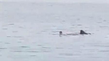 El bañista, junto al tiburón en el momento del ataque