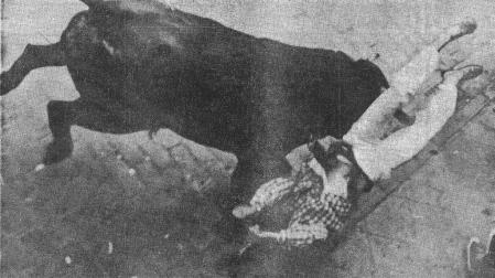 Un mozo de blusa a cuadros, cogido por las piernas por un toro, es volteado peligrosamente
